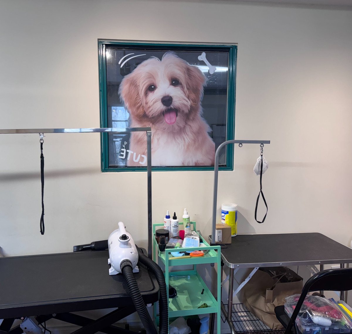 Grooming room